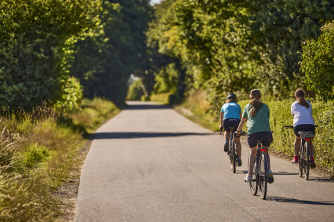 Trois personnes font du vélo sur une route paisible bordée de verdure près de Tranekaer, Danemark du Sud.