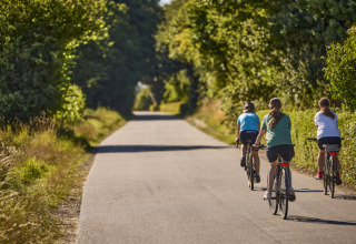 Tre persone pedalano su una strada di campagna tranquilla circondata dal verde vicino a Tranekaer, Danimarca.