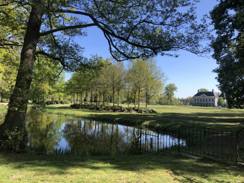 Sfeervolle glampingplek met veel groen, een vijver, wandelpaden en een charmant gebouw onder blauwe lucht.