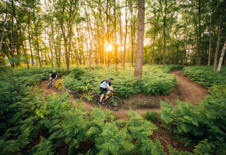 Zwei Mountainbiker fahren auf einem Waldweg im Sonnenuntergang, nahe einer Glamping-Unterkunft.