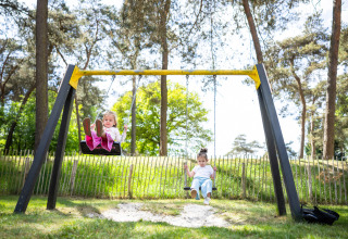 Two children are playing on swings at a playground surrounded by trees in Campsite Roland, Limburg, Netherlands.