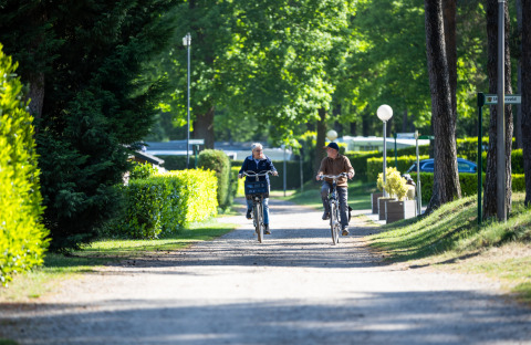 Due persone vanno in bicicletta lungo un sentiero soleggiato al campeggio Roland a Limburg, Paesi Bassi.