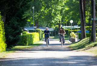 Two people bicycle down a sunny path lined with green trees at Campsite Roland, Limburg, Netherlands.
