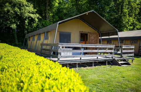 Safari tent with covered wooden deck, set among lush greenery and trees, taken outdoors in daylight.