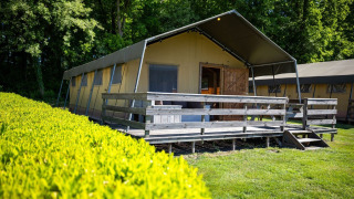 Safari telt med overdækket terrasse, omgivet af grønne buske og træer, set fra siden i dagslys.