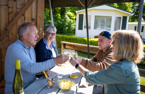 Ældre venner skåler med vin ved et picnicbord under en safari telt på campingplads Roland i Holland.