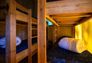 Interiør af en safaritelt med køjesenge og rullemadrasser på Camping Roland i Holland, varmt oplyst.