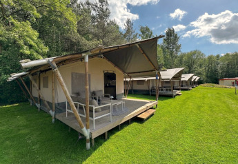 Flotte lodge-telte på en grøn mark ved skov, perfekte til luksus campingoplevelser i naturen.