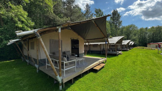Flotte lodge-telte på en grøn mark ved skov, perfekte til luksus campingoplevelser i naturen.
