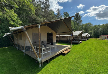 Flotte lodge-telte på en grøn mark ved skov, perfekte til luksus campingoplevelser i naturen.