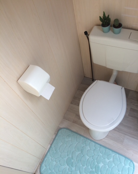 Toilet med hvidt sæde, toiletpapirsholder, lyseblå måtte og to kaktusplanter i Beach sleeping cabin Strand Dishoek 342.