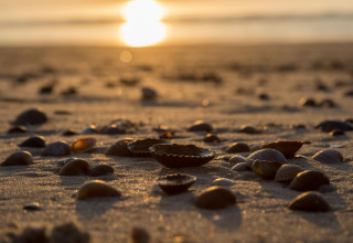 Sonnenuntergang am Strand mit Muscheln im Sand bei Beach sleeping cabin Strand Dishoek 342, Niederlande.