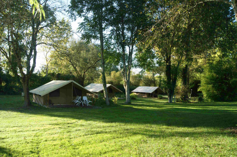 Tentes safari installées sur une pelouse verte sous les arbres, avec des chaises en plastique devant.