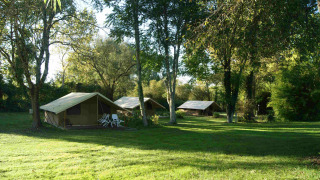 Safari tents set up on a green lawn beneath trees, with plastic chairs in front, on a sunny day.