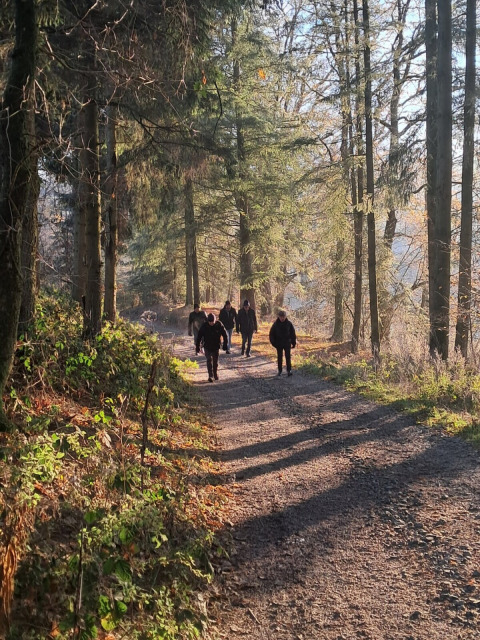 People walking up a sunlit forest path, a highlight of Le Hameau de l'Ourthe holiday park in Belgium.