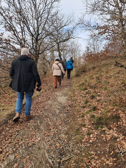 Personas suben por un sendero boscoso en Le Hameau de l'Ourthe, parque vacacional en Luxemburgo belga.