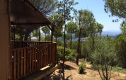 Blick von einem Lodge-Zelt auf dem Campingplatz Paradiso in Italien mit Pinienwald und Hügeln im Hintergrund.