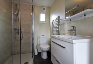 Salle de bains moderne du Chalet Basic à De Woudhoeve, Pays-Bas, avec douche, WC et lavabo.