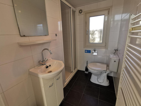 Salle de bains moderne au Chalet Basic à De Woudhoeve, Pays-Bas, avec douche, lavabo et toilettes.