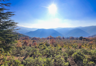 Il sole splende sulle colline vicino a Fenouillet, Occitania, Francia, con arbusti e alberi in primo piano.