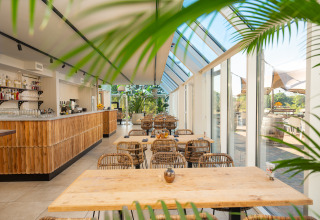 Licht en modern glamping restaurant met houten meubels, grote ramen en uitzicht op het buitenterras.