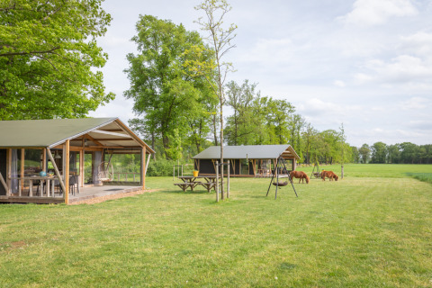 Lodge in stile glamping con due tende safari, area verde, altalene e pony che pascolano in lontananza.