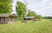 Lodge in stile glamping con due tende safari, area verde, altalene e pony che pascolano in lontananza.