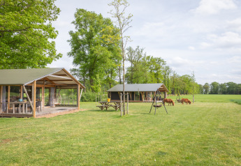 Glamping-Lodges mit zwei Zelten, Picknicktisch, Schaukel und grasenden Ponys auf einer großen Wiese.