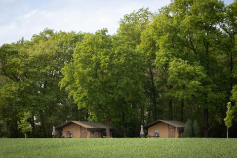 Luxus Safarizelt mit Badezimmer vor einem üppigen, grünen Wald und grasbedecktem Feld.
