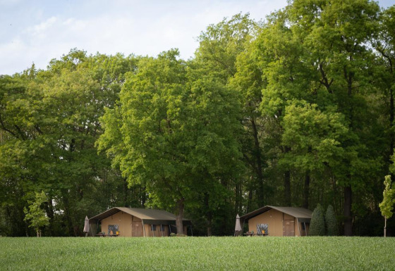 Tenda safari di lusso con bagno, immersa vicino a una foresta verde lussureggiante e campi aperti.