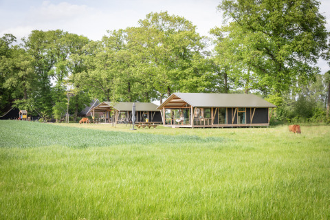 Idyllische Lodge mit mehreren Hütten, grüne Wiese und Bäume, entspannte ländliche Atmosphäre.