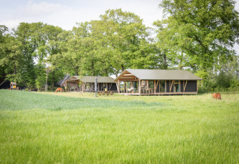 Idyllische Lodge mit mehreren Hütten, grüne Wiese und Bäume, entspannte ländliche Atmosphäre.