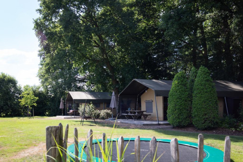 Luxe safaritenten bij Landrijk de Reesprong in Nederland, geweven tussen bomen en zomerse planten.