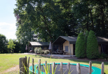 Luxury safari tents at Landrijk de Reesprong in the Netherlands, surrounded by trees and summer greenery.