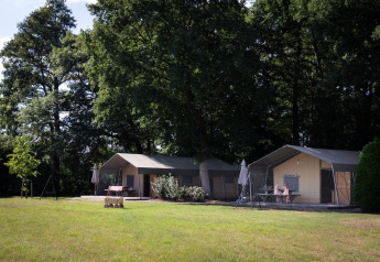 Luxury safari tents at Landrijk de Reesprong in the Netherlands, set in a lush, green forested area.