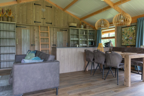 Interno moderno della Luxe lodge a Landrijk de Reesprong nei Paesi Bassi con mobili in legno e atmosfera accogliente.