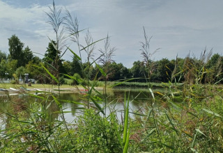 Vista del lago e del verde al campeggio Hunze Bulten a Drenthe, Paesi Bassi, in una giornata soleggiata.