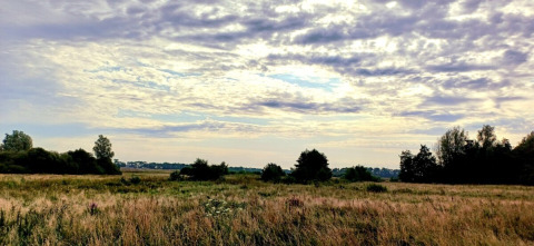 Prato aperto con erba alta e alberi sotto un cielo nuvoloso presso il campeggio Hunze Bulten a Drenthe, Paesi Bassi.