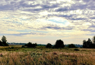 Prato aperto con erba alta e alberi sotto un cielo nuvoloso presso il campeggio Hunze Bulten a Drenthe, Paesi Bassi.