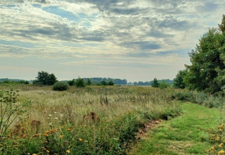 Vista panoramica dal campeggio Hunze Bulten a Drenthe, Paesi Bassi, con fiori spontanei e prati verdi.