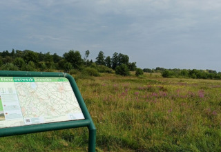 Cartello informativo Fiets Netwerk Drenthe vicino a un campo verde al campeggio Hunze Bulten, Drenthe, Paesi Bassi.