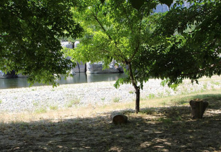 Schaduwrijke plek onder bomen met zicht op rivier en kiezelstrand aan Camping Paradis Family des Issoux, Frankrijk.