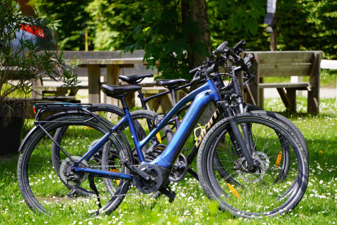 Bicicletas eléctricas aparcadas sobre césped junto a bancos y árboles en Family's Camping Le Savoy, Auvernia-Ródano-Alpes.