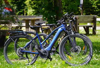 Bicicletas eléctricas aparcadas sobre césped junto a bancos y árboles en Family's Camping Le Savoy, Auvernia-Ródano-Alpes.
