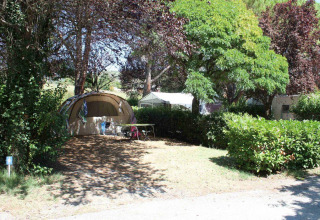 Parcela de tienda de campaña rodeada de árboles y arbustos en Flower Camping Provence Vallée, en la Provenza.