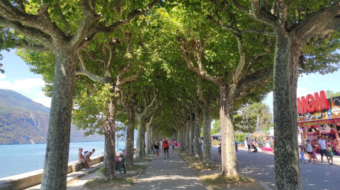 Baumgesäumte Promenade am See bei Family's Camping Le Savoy, Menschen genießen den Sommer in Frankreich.