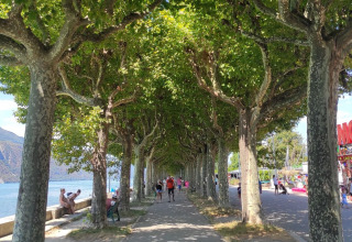 Viale alberato lungo il lago al Family's Camping Le Savoy, persone si godono una giornata di sole in Francia.
