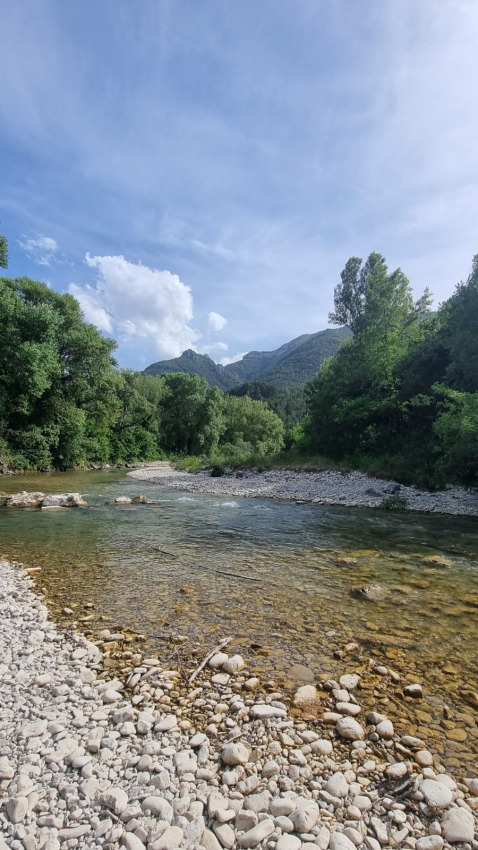 Río con orilla rocosa, árboles verdes y montañas al fondo en Flower Camping la Pinède, Auvergne-Rhône-Alpes.