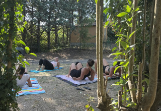 Menschen machen Yoga auf Matten im Freien, umgeben von Bäumen im Flower Camping Provence Vallée.