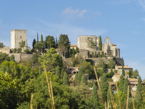 Vista di un antico castello in pietra e vegetazione a Flower Camping la Pinède, Auvergne-Rhône-Alpes, Francia.
